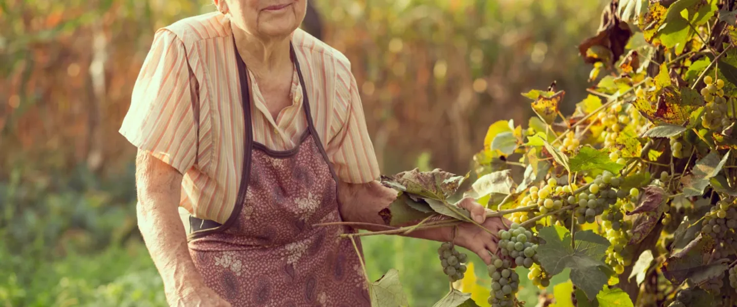 Discover Blue Zones, where residents live to 100+! Sardinian shepherds are among the longest-living men. #Longevity #Health