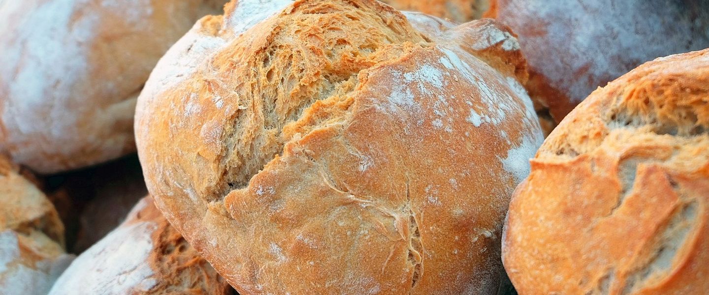 Bread is over 14,000 years old! The world’s largest loaf weighed over 2,200 pounds! 🍞 #Bread #FoodHistory