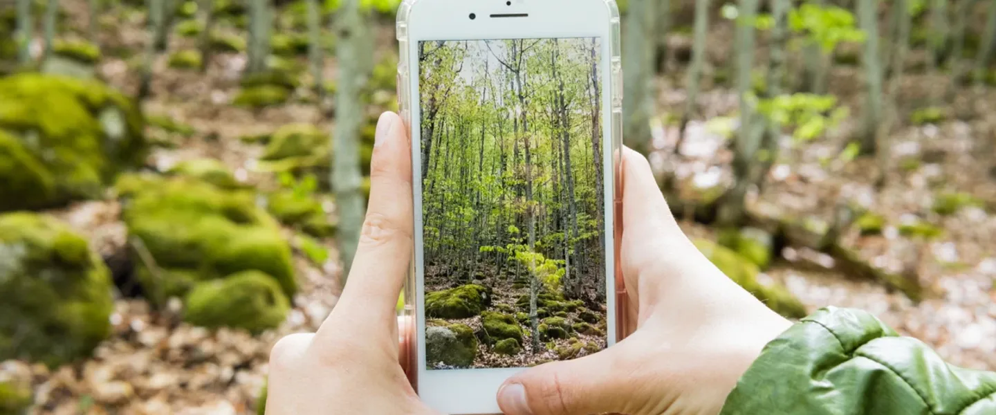 Discover the hidden environmental cost of smartphones 📱 and how we can mitigate it. #Sustainability #EcoFriendly