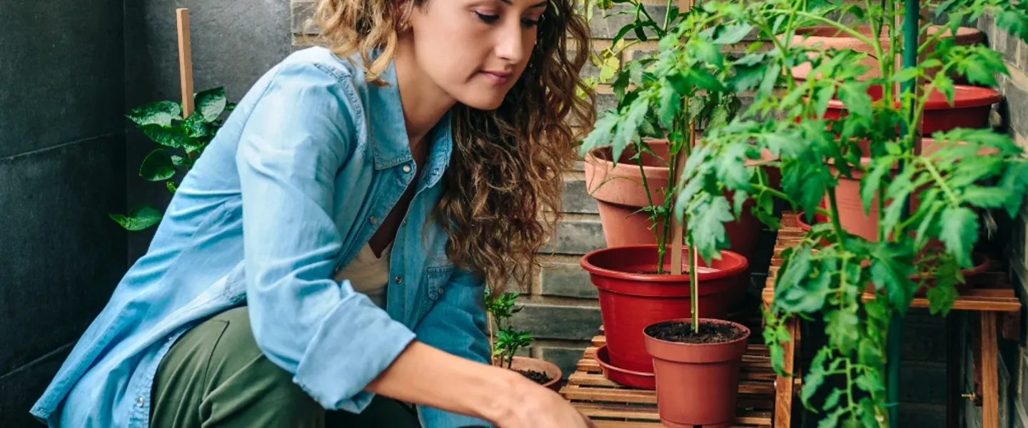 Transform your balcony into a lush garden oasis! 🌿🌱 Discover how to grow fresh herbs and veggies in small spaces. #UrbanGardening